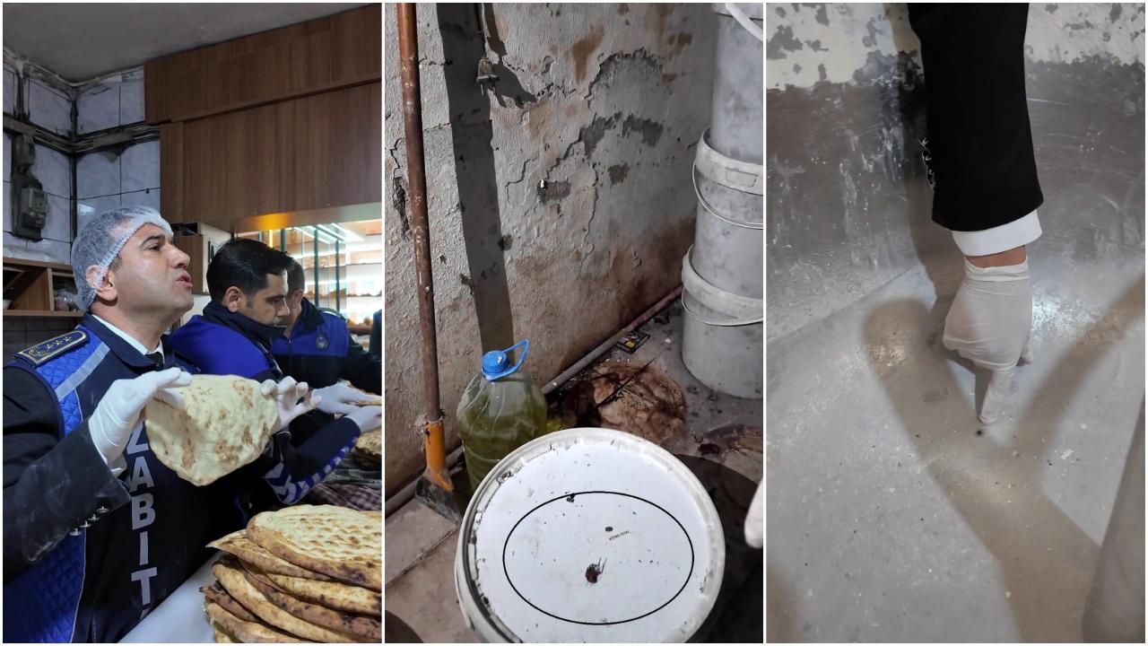 Hatay'da mide bulandıran manzara: Fareyi geçtim, yılan çıkacak diye korkuyorum