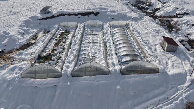 Hakkari'de kar nedeniyle seralar çöktü