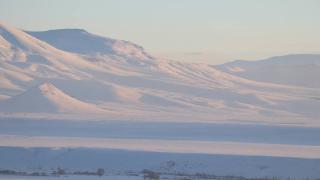 Ağrı'da kar yağışı