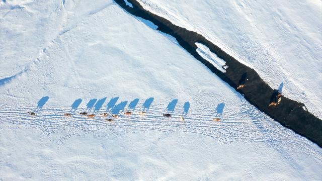 Kars'ta köylerden geçen menderesler besicilere can suyu oluyor