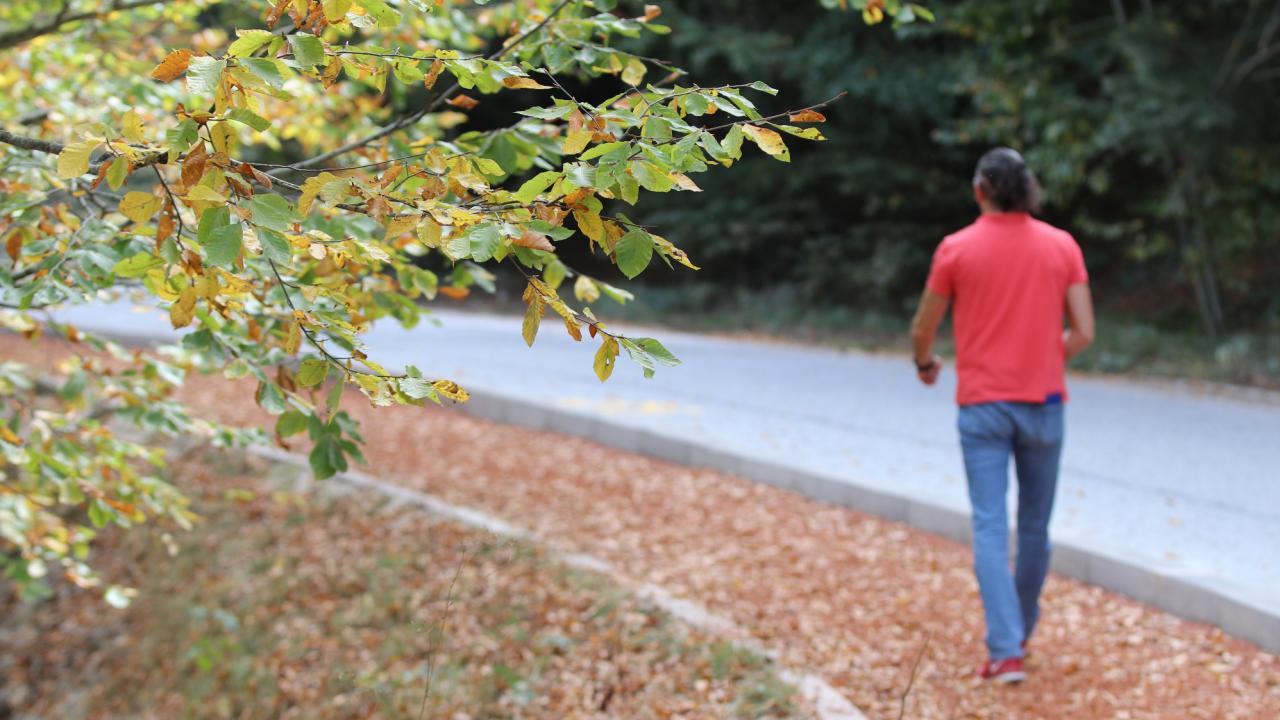 Son 55 yılın en sıcak 8. sonbaharı yaşandı