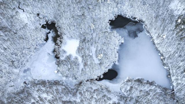 Yedigöller Milli Parkı beyaza büründü
