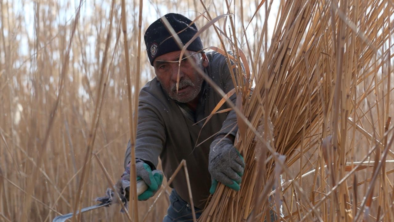 "Önceden sandalla gezdiğimiz alanları araba ve traktörle gezebiliyoruz"