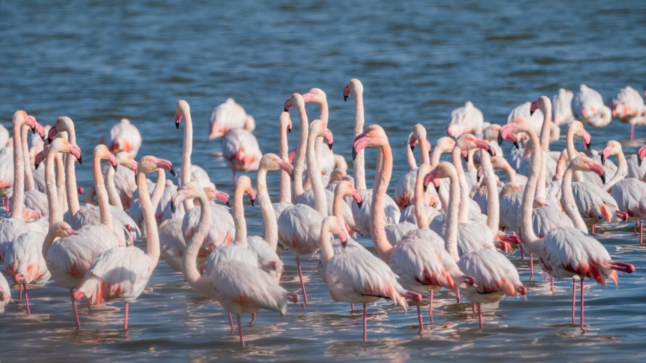"Çevreye karşı bilincin artması ve iyi tarım uygulamalarına geçilmesi gerekmektedir"