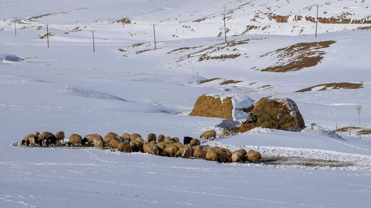 "Kar ve soğuk hava yaşamı oldukça zorlaştırıyor"