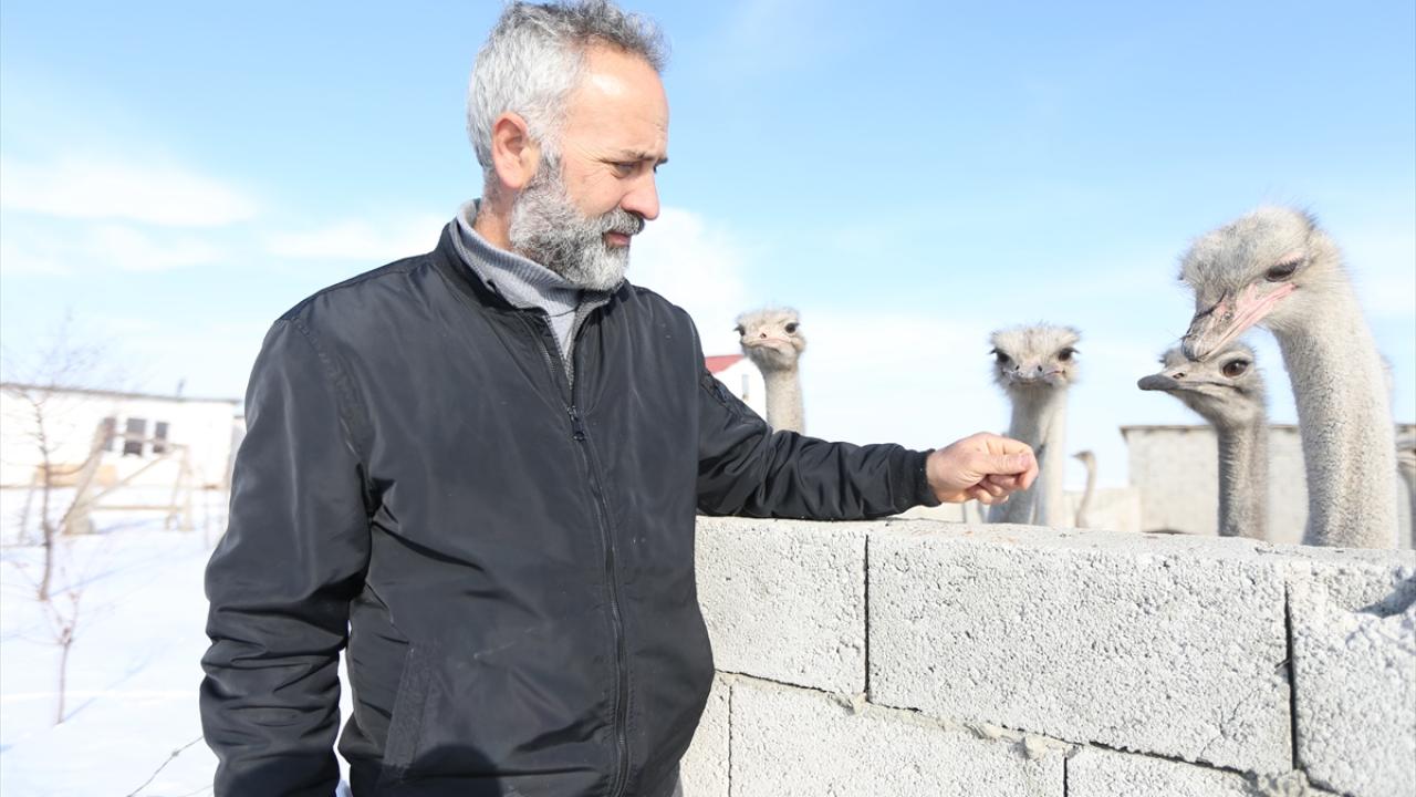 "Kar yağışına seviniyorlar"