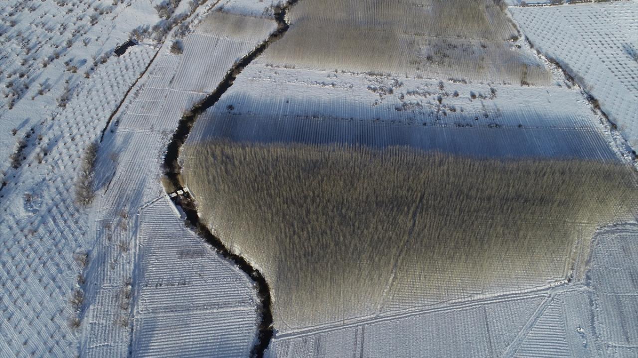 "Rekolte anlamında ciddi bir artış bekliyoruz"