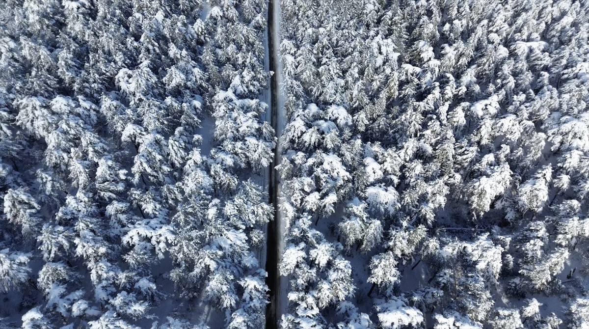 Karla kaplanan Yozgat Çamlık Milli Parkı ve Akdağmadeni ormanları dronla görüntülendi