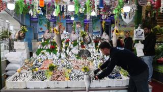 Samsun'daki tezgahlarda onlarca çeşit balık müşterilere sunuluyor