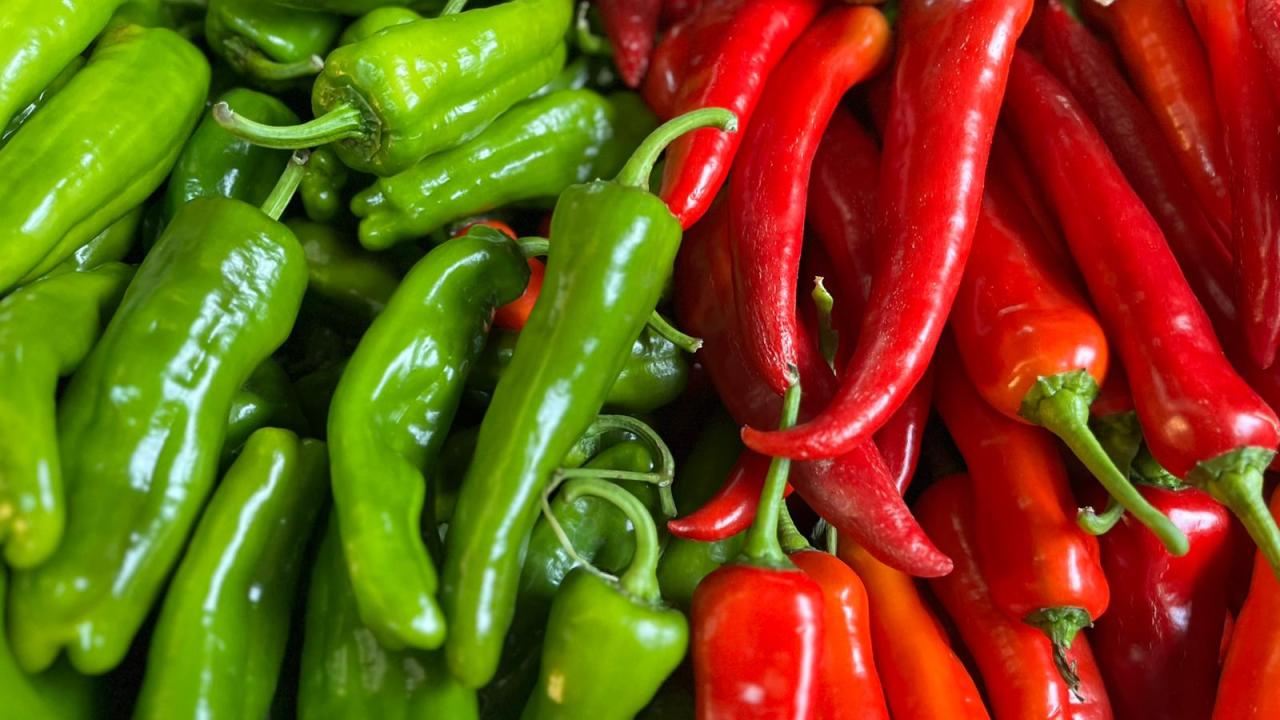 Batı Akdeniz'in ihracat şampiyonu biber oldu