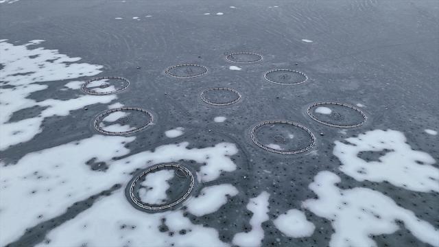 Çat Barajı'ndaki "yüzen adalar" buz tuttu