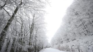 Karla kaplanan Istranca Ormanları'nda güzel görüntü oluştu