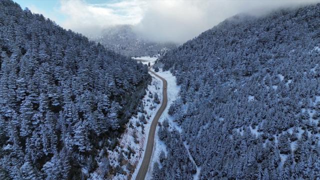Kaş'ta karla kaplanan orman güzel görüntü oluşturdu