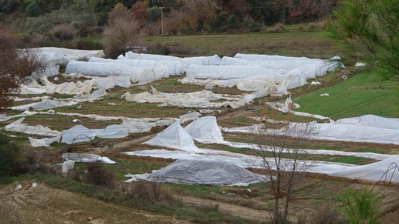 Manavgat'ta hortum 14 serayı kullanılamaz hale getirdi