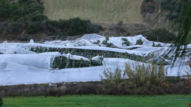 Manavgat'ta hortum nedeniyle 14 sera kullanılamaz hale geldi