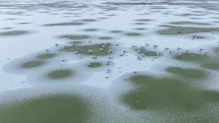 Mogan Gölü, kısmen dondu