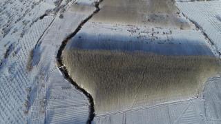 Güneydoğu'da etkili olan kar yağışı çiftçiyi sevindirdi