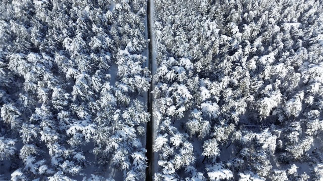 Karla kaplanan Yozgat Çamlık Milli Parkı ve Akdağmadeni ormanları dronla görüntülendi