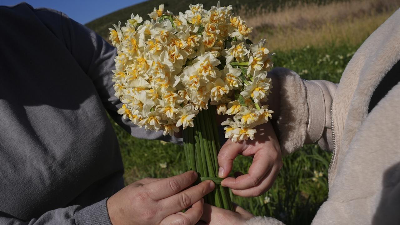 "Kibarca topluyoruz"