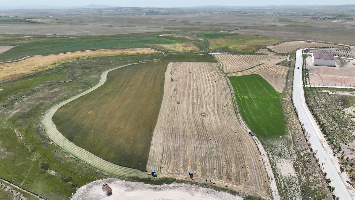 3- B-Reçeteyi kimler yazabilecek?