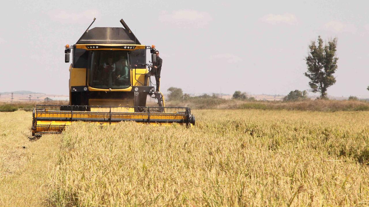 4- B-Reçete ne zaman uygulanmaya başlanacak?