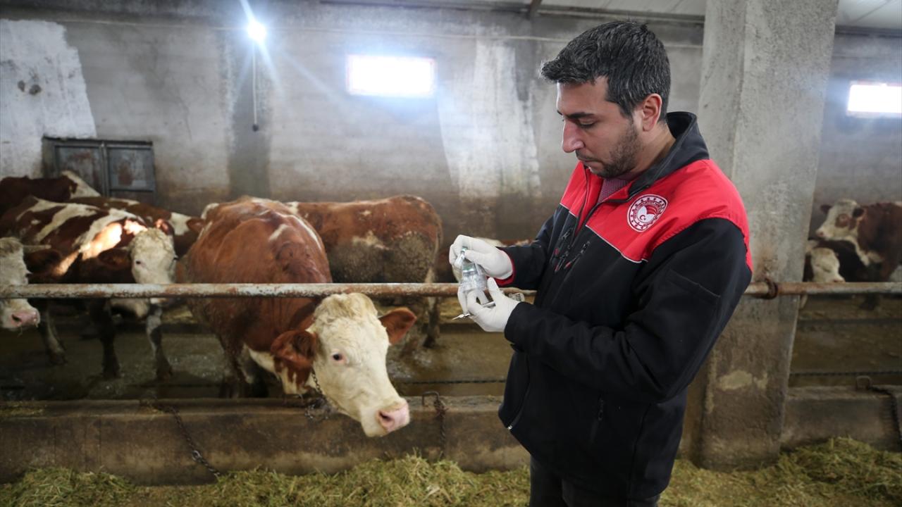 "Çok önemli bir projeyi hayata geçirdik"