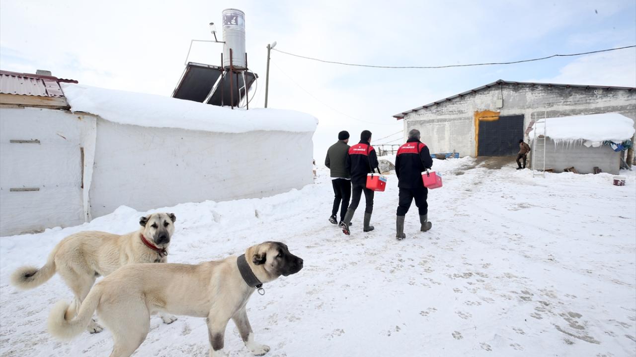 "Her zaman yardımcı oluyorlar ve yanımızdalar"