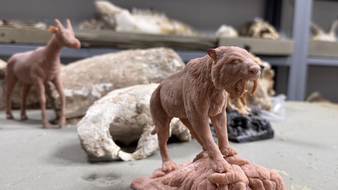 Dev hayvan özelliği taşıyan fosiller barındırıyor