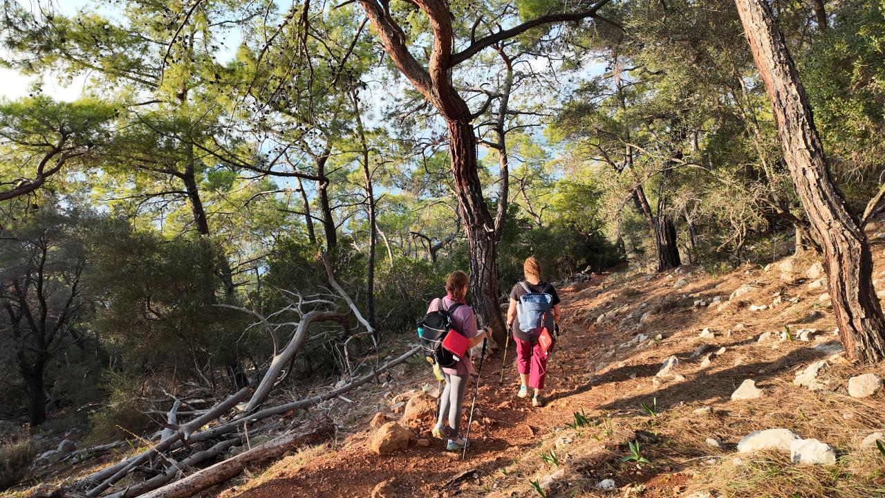 Çadır kampı yapan doğaseverlerin uğrak noktası