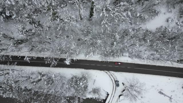 'Ağaç tünel yol'da, kar yağışı sonrası ortaya çıkan manzara görüntülendi