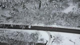 'Ağaç tünel yol'da, kar yağışı sonrası ortaya çıkan manzara görüntülendi