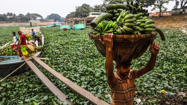 Bangladeş’te nehirler tomruk ve tarım ürünlerinin taşınmasında önemli rol oynuyor