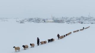 1940 rakımda besicilerin zorlu mesaisi