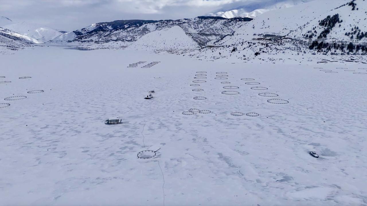 Adıyaman'daki Çat Barajı tamamen dondu