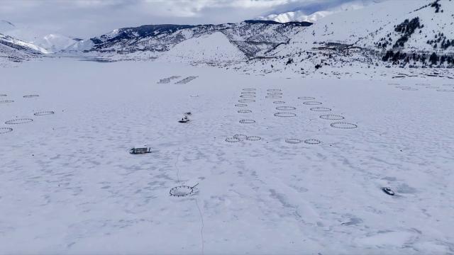 Adıyaman'daki Çat Barajı tamamen dondu