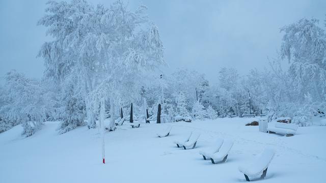 Rusya’da dondurucu soğuk: Eksi 40