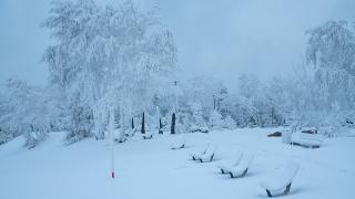 Rusya’da dondurucu soğuk: Eksi 40