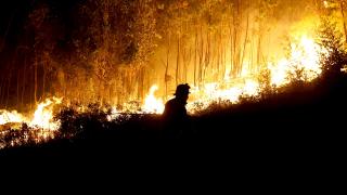 Şili'nin güneyinde meydana gelen orman yangınlarında 20 kişi öldü