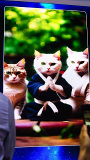 İnternetin organik dönemi sona mı eriyor?