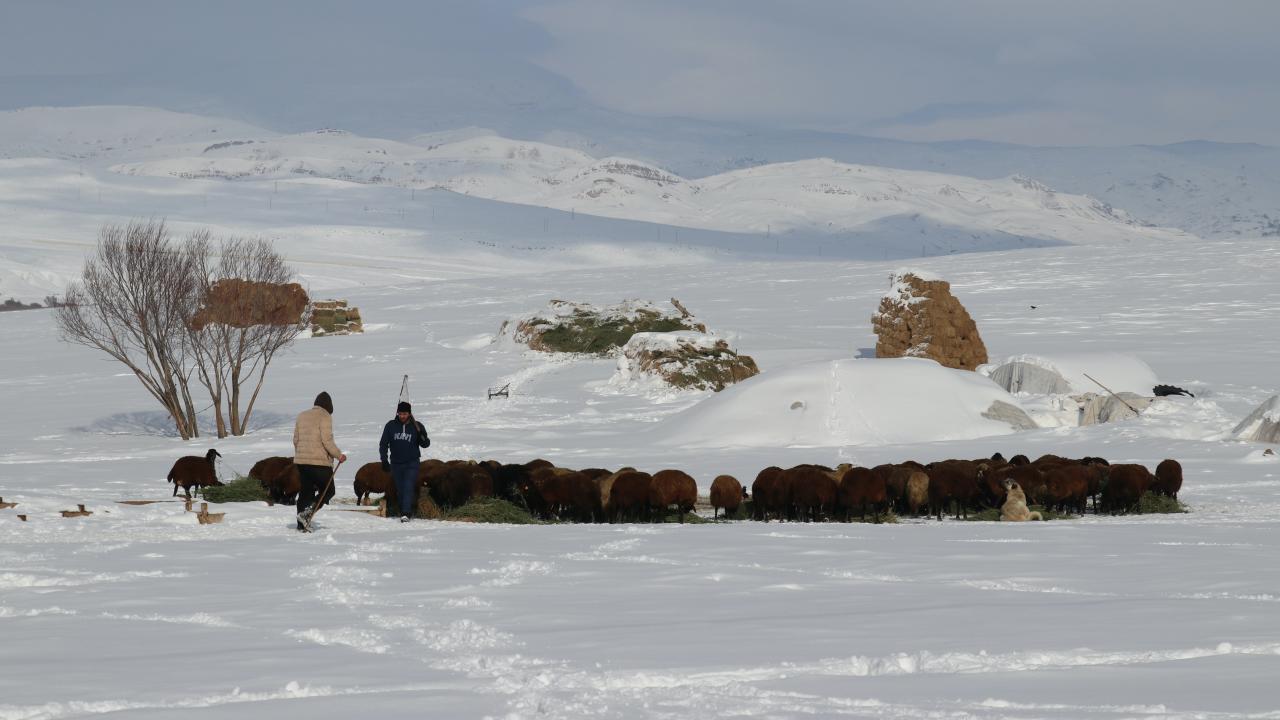 "Kalın elbiseler giyerek hayvanların başında bekliyoruz"