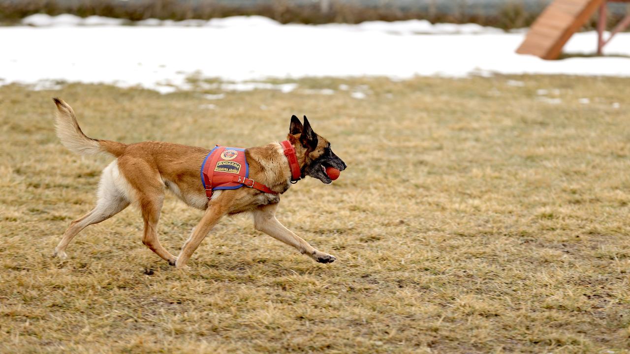 Her türlü afette görev başında