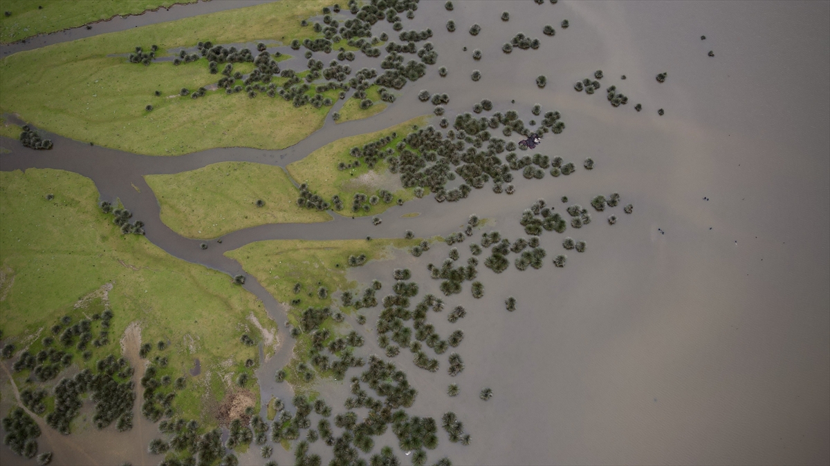"Türkiye`deki sulak alanların durumu çok iyi değil"