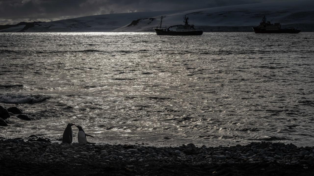 "(Bilim seferleri) Türkiye-Şili ilişkilerinin önemli bir unsurunu oluşturuyor"