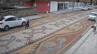 Başıboş sokak köpeğinin saldırdığı çocuğu esnaf kurtardı