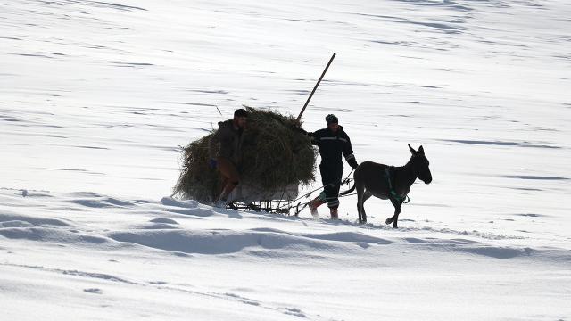 Ağrı'da besicilerin zorlu kış şartlarında geçim mücadelesi
