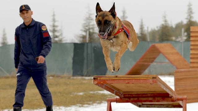 Afetlerin sessiz kahramanı: Sima