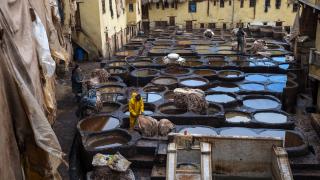 Fas’ın Fez kentinde geleneksel deri üretimi sürüyor