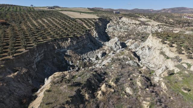 Hatay'da 400 metrelik fay yarığı oluşan zeytinlikte "toprak kayması" sürebilir uyarısı