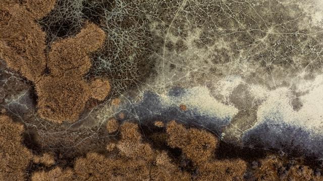 Ankara'nın sulak alanlarında kuraklık