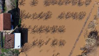 Gediz Nehri'nin taşması nedeniyle Turgutlu Ovası'nda bazı tarım arazileri su altında kaldı